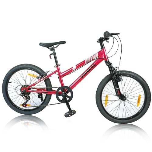 Lauxjack Kinder Mountainbike 20 Zoll