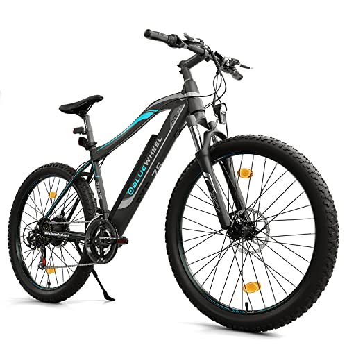 Bluewheel Electromobility Fatbike 29 Zoll