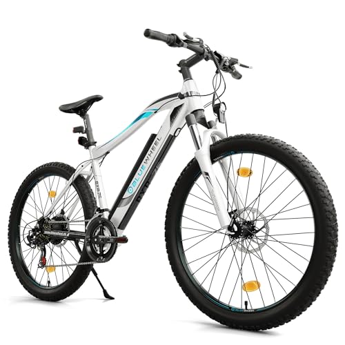 Bluewheel Electromobility Mountainbike Mit Strassenzulassung